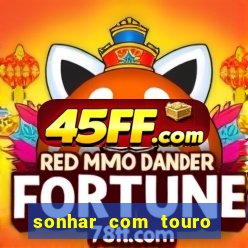 sonhar com touro bravo no mundo espiritual